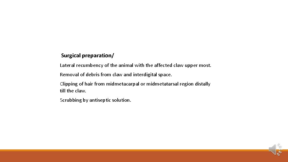 Surgical preparation/ Lateral recumbency of the animal with the affected claw upper most. Removal