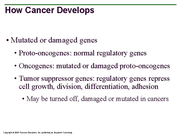 How Cancer Develops • Mutated or damaged genes • Proto-oncogenes: normal regulatory genes •