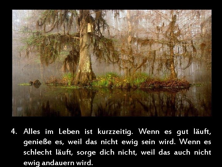 4. Alles im Leben ist kurzzeitig. Wenn es gut läuft, genieße es, weil das