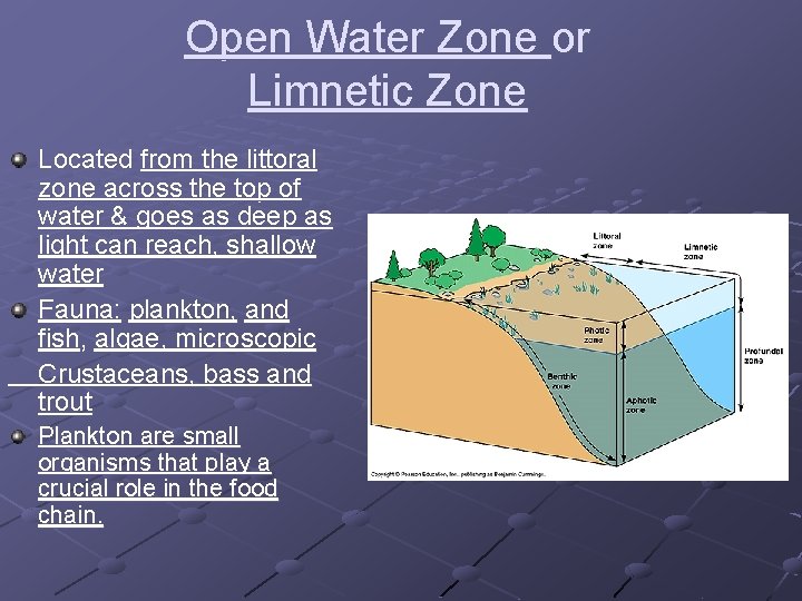 Open Water Zone or Limnetic Zone Located from the littoral zone across the top