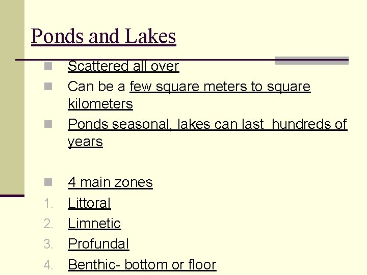 Ponds and Lakes n n 1. 2. 3. 4. Scattered all over Can be