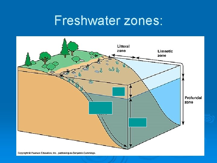 Freshwater zones: 