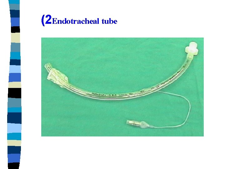 (2 Endotracheal tube 