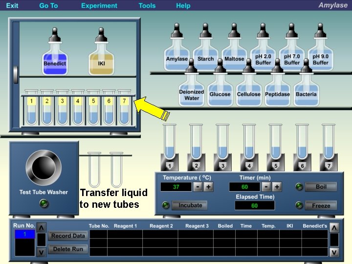 Transfer liquid to new tubes 