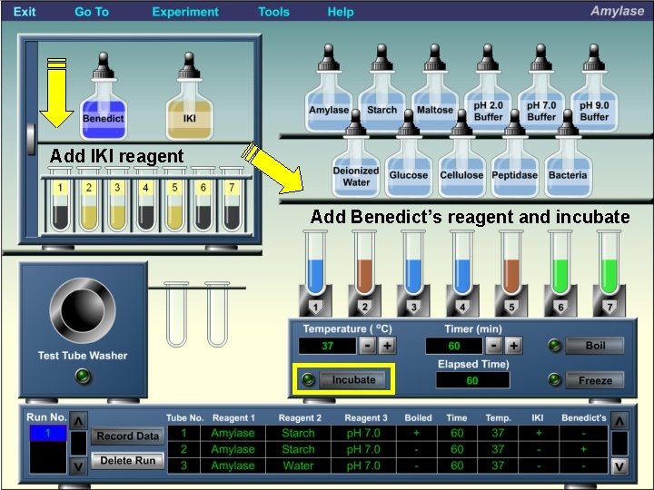 Add IKI reagent Add Benedict’s reagent and incubate 