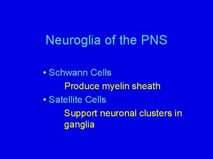 Neuroglia of the PNS • Schwann Cells Produce myelin sheath • Satellite Cells Support