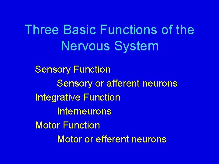 Three Basic Functions of the Nervous System Sensory Function Sensory or afferent neurons Integrative