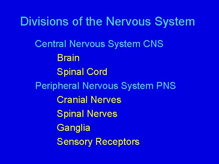 Divisions of the Nervous System Central Nervous System CNS Brain Spinal Cord Peripheral Nervous