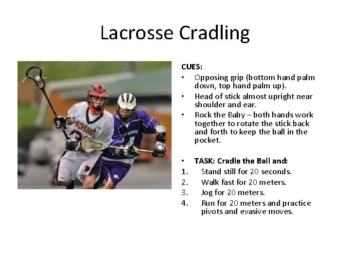 Lacrosse Cradling CUES: • Opposing grip (bottom hand palm down, top hand palm up).