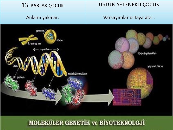 13 PARLAK ÇOCUK Anlamı yakalar. sorgunram. meb. k 12. tr ÜSTÜN YETENEKLİ ÇOCUK Varsayımlar