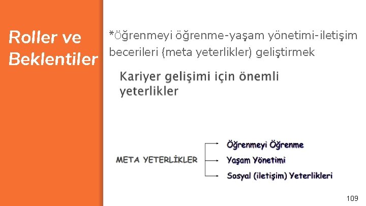 Roller ve Beklentiler *Öğrenmeyi öğrenme-yaşam yönetimi-iletişim becerileri (meta yeterlikler) geliştirmek 109 