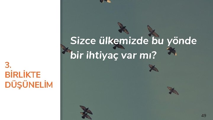 3. BİRLİKTE DÜŞÜNELİM Sizce ülkemizde bu yönde bir ihtiyaç var mı? 49 