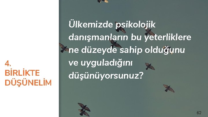 4. BİRLİKTE DÜŞÜNELİM Ülkemizde psikolojik danışmanların bu yeterliklere ne düzeyde sahip olduğunu ve uyguladığını