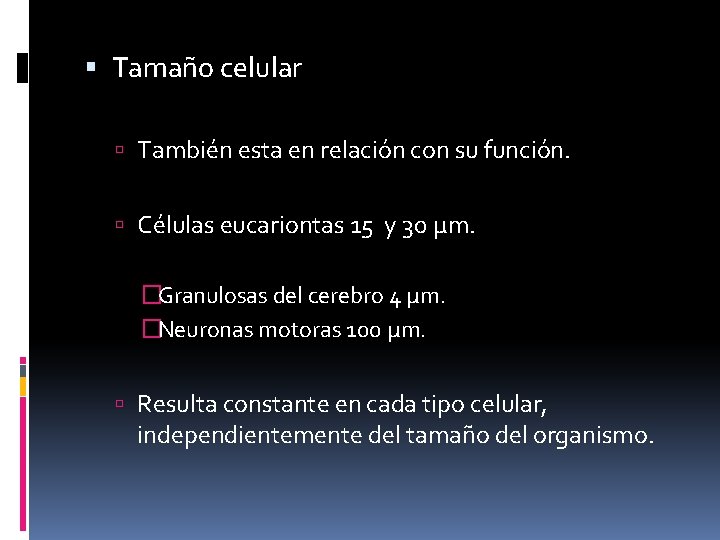  Tamaño celular También esta en relación con su función. Células eucariontas 15 y