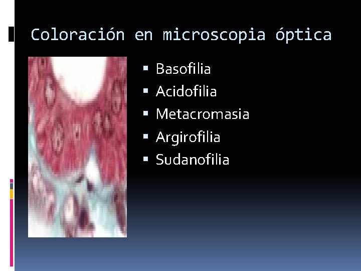 Coloración en microscopia óptica Basofilia Acidofilia Metacromasia Argirofilia Sudanofilia 