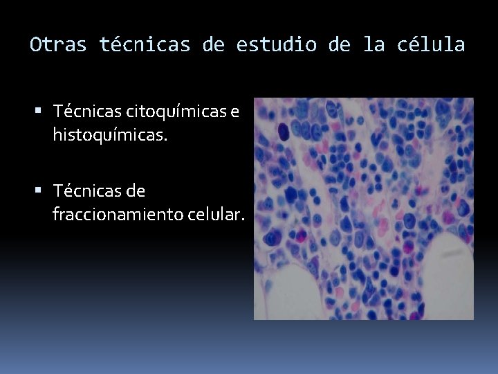 Otras técnicas de estudio de la célula Técnicas citoquímicas e histoquímicas. Técnicas de fraccionamiento