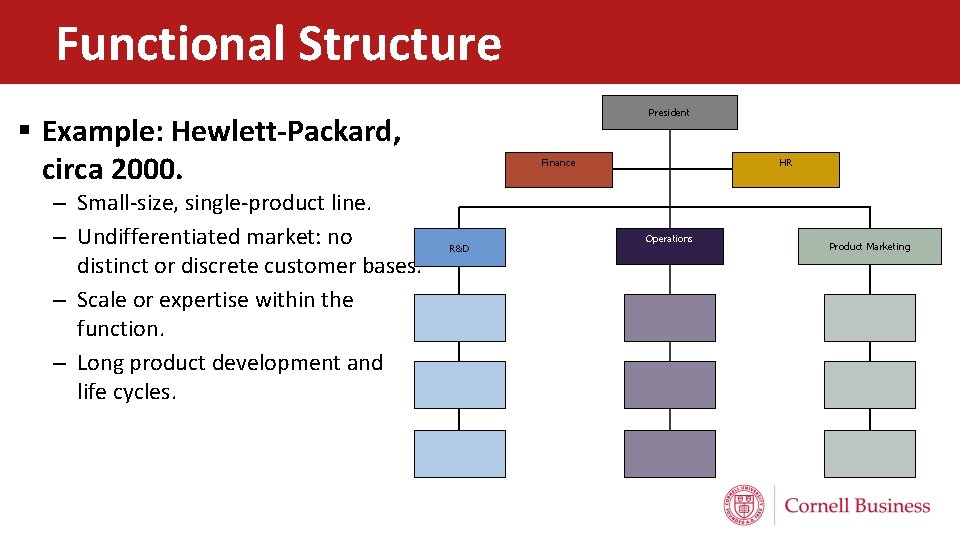 Functional Structure President § Example: Hewlett-Packard, circa 2000. – Small-size, single-product line. – Undifferentiated