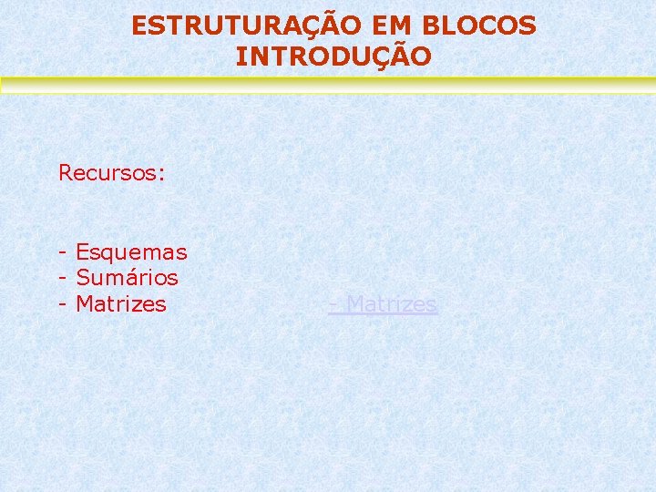 ESTRUTURAÇÃO EM BLOCOS INTRODUÇÃO Recursos: - Esquemas - Sumários - Matrizes 