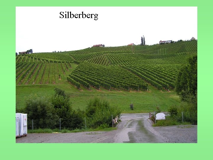 Silberberg 