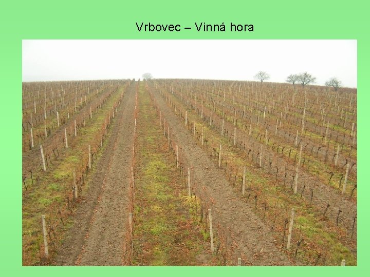 Vrbovec – Vinná hora 