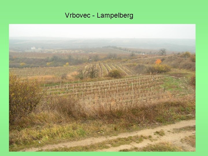 Vrbovec - Lampelberg 