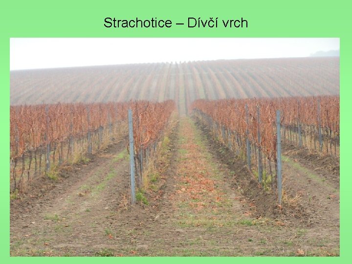 Strachotice – Dívčí vrch 