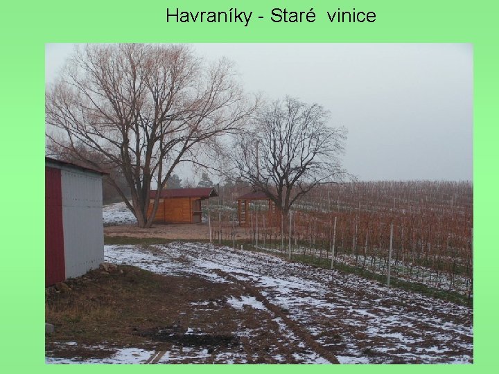 Havraníky - Staré vinice 