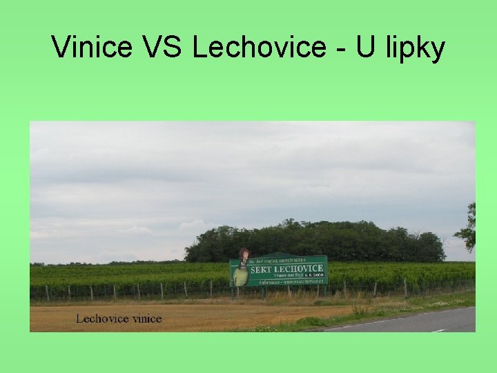 Vinice VS Lechovice - U lipky 