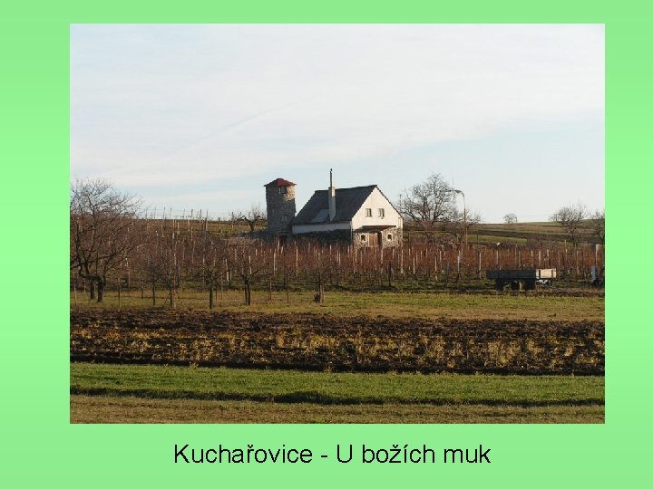 Kuchařovice - U božích muk 