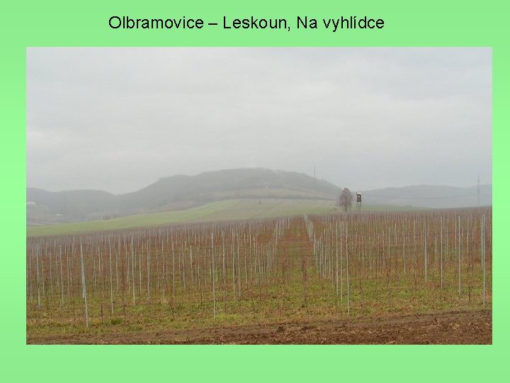 Olbramovice – Leskoun, Na vyhlídce 