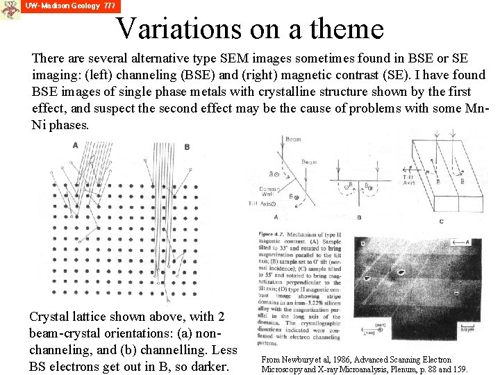 Variations on a theme There are several alternative type SEM images sometimes found in