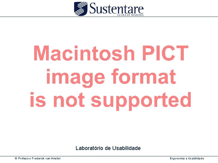 Laboratório de Usabilidade © Professor Frederick van Amstel Ergonomia e Usabilidade 