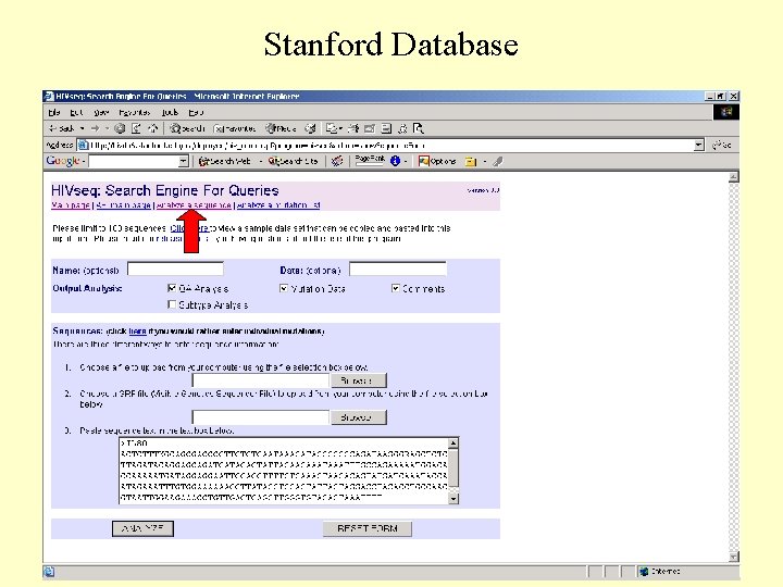 Stanford Database 