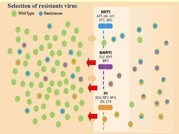 Selection of resistants virus 