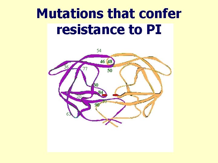 Mutations that confer resistance to PI 54 46 48 36 77 50 30 20