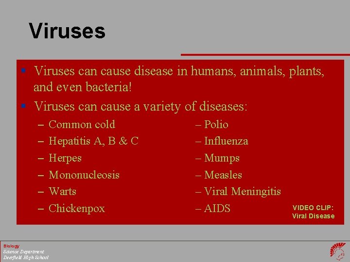 Viruses § Viruses can cause disease in humans, animals, plants, and even bacteria! §