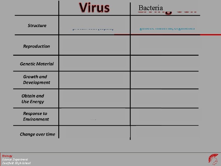 Bacteria Biology Science Department Deerfield High School 