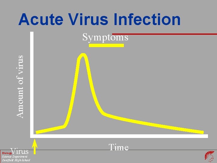 Acute Virus Infection Amount of virus Symptoms Virus Biology Science Department Deerfield High School