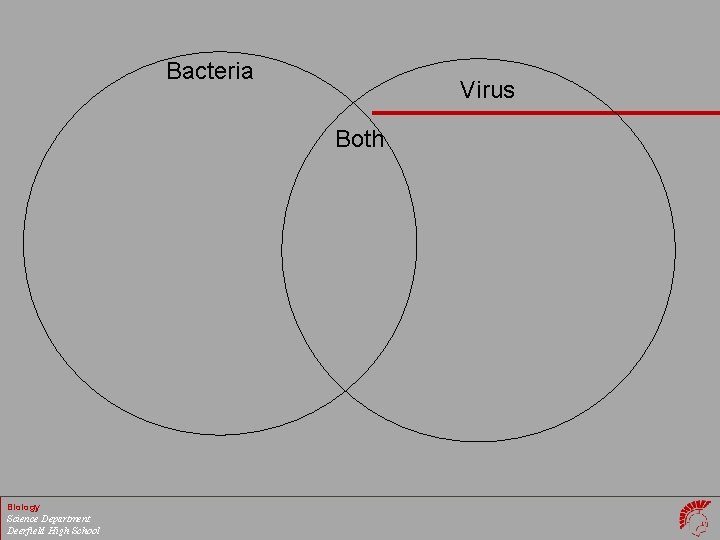 Bacteria Virus Both Biology Science Department Deerfield High School 