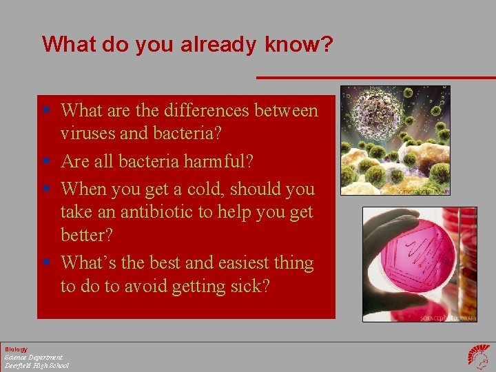 What do you already know? § What are the differences between viruses and bacteria?