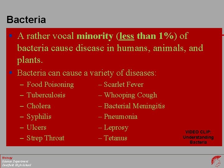 Bacteria § A rather vocal minority (less than 1%) of bacteria cause disease in
