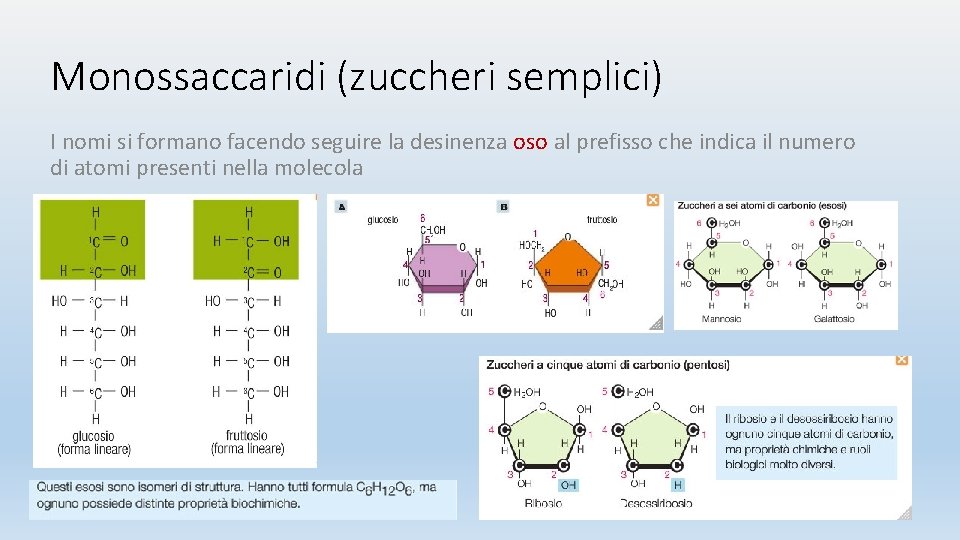 Monossaccaridi (zuccheri semplici) I nomi si formano facendo seguire la desinenza oso al prefisso