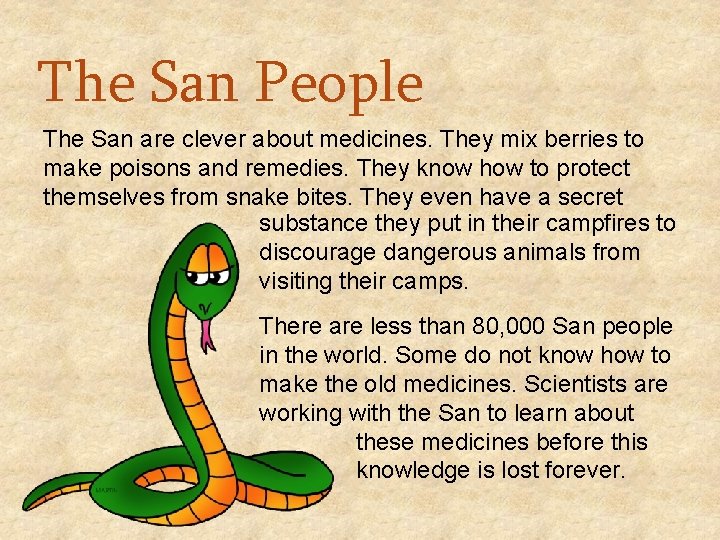 The San People The San are clever about medicines. They mix berries to make