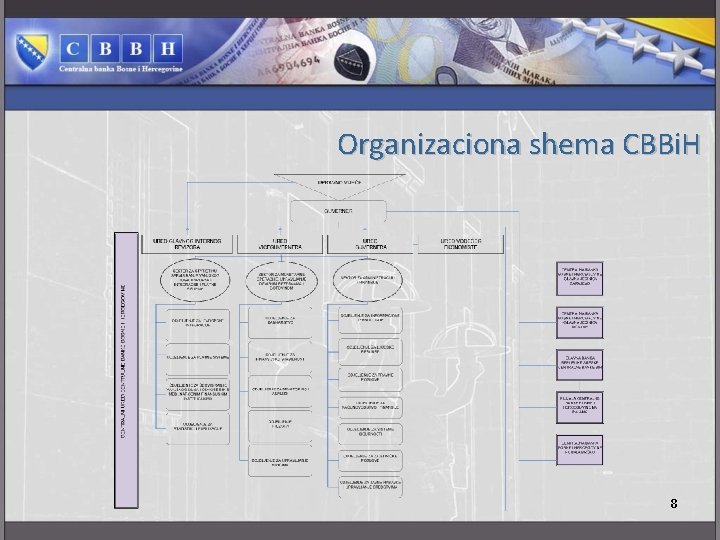 Organizaciona shema CBBi. H 8 