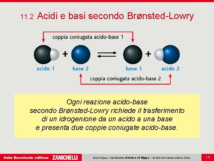 11. 2 Acidi e basi secondo Brønsted-Lowry Ogni reazione acido-base secondo Brønsted-Lowry richiede il