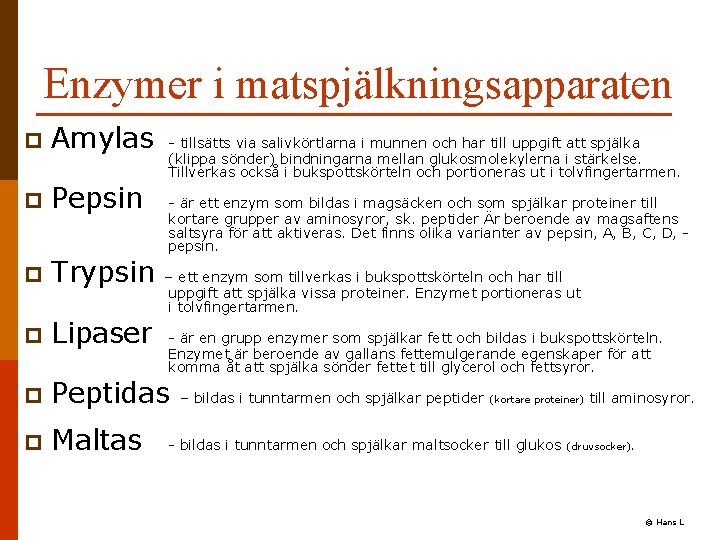 Enzymer i matspjälkningsapparaten p Amylas p Pepsin p Trypsin p Lipaser p Peptidas p