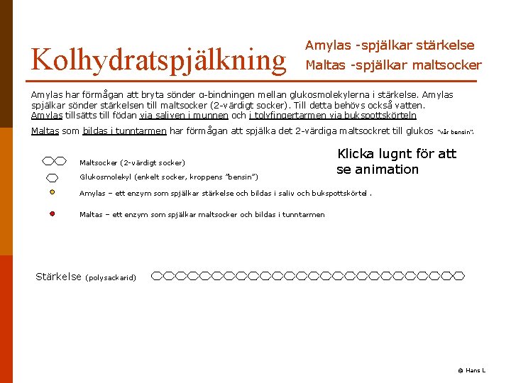 Kolhydratspjälkning Amylas -spjälkar stärkelse Maltas -spjälkar maltsocker Amylas har förmågan att bryta sönder α-bindningen Kolhydratspjälkning Amylas -spjälkar stärkelse Maltas -spjälkar maltsocker Amylas har förmågan att bryta sönder α-bindningen