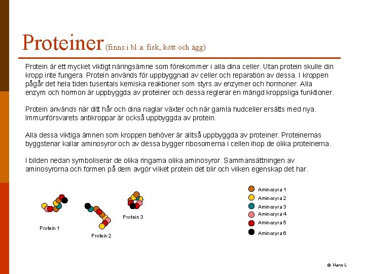 Proteiner (finns i bl. a. fisk, kött och ägg) Protein är ett mycket viktigt