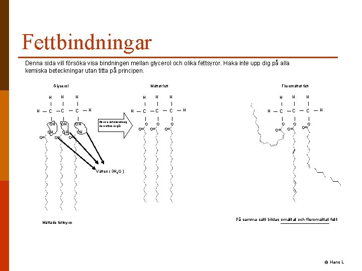 Fettbindningar Denna sida vill försöka visa bindningen mellan glycerol och olika fettsyror. Haka inte