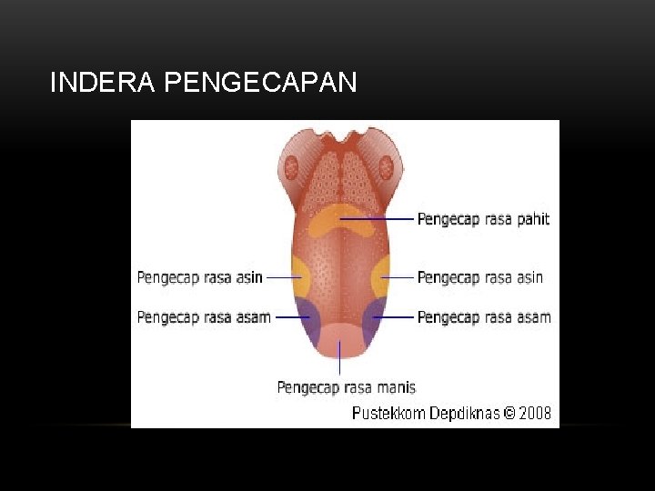 INDERA PENGECAPAN 